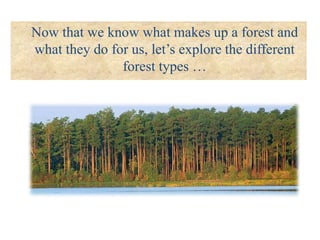 Now that we know what makes up a forest and
what they do for us, let’s explore the different
forest types …
 