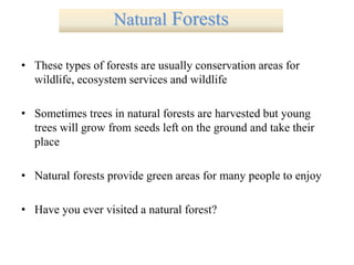 • These types of forests are usually conservation areas for
wildlife, ecosystem services and wildlife
• Sometimes trees in natural forests are harvested but young
trees will grow from seeds left on the ground and take their
place
• Natural forests provide green areas for many people to enjoy
• Have you ever visited a natural forest?
Natural Forests
 