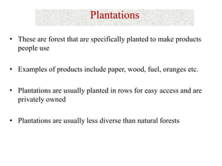 • These are forest that are specifically planted to make products
people use
• Examples of products include paper, wood, fuel, oranges etc.
• Plantations are usually planted in rows for easy access and are
privately owned
• Plantations are usually less diverse than natural forests
Plantations
 