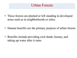 • These forests are planted or left standing in developed
areas such as in neighborhoods or cities
• Human benefits are the primary purpose of urban forests
• Benefits include providing cool shade, beauty, and
taking up water after it rains
Urban Forests
 