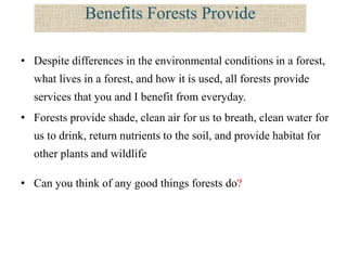 Presentation On Soil And Forest Vvdav 27 6 2014 Copy Ppt Presentation On Soil And Forest Vvdav 27 6 2014 Copy Ppt