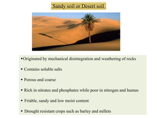 Presentation On Soil And Forest Vvdav 27 6 2014 Copy Ppt Presentation On Soil And Forest Vvdav 27 6 2014 Copy Ppt
