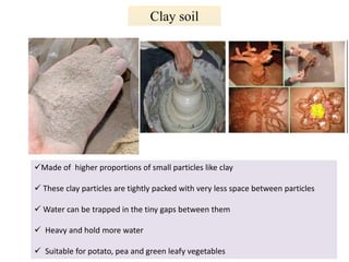 Clay soil
Made of higher proportions of small particles like clay
 These clay particles are tightly packed with very less space between particles
 Water can be trapped in the tiny gaps between them
 Heavy and hold more water
 Suitable for potato, pea and green leafy vegetables
 