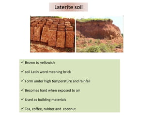 Presentation On Soil And Forest Vvdav 27 6 2014 Copy Ppt Presentation On Soil And Forest Vvdav 27 6 2014 Copy Ppt