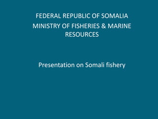 FEDERAL REPUBLIC OF SOMALIA
MINISTRY OF FISHERIES & MARINE
RESOURCES
Presentation on Somali fishery
 