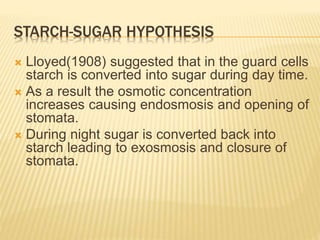 STARCH-SUGAR HYPOTHESIS
 Lloyed(1908) suggested that in the guard cells
starch is converted into sugar during day time.
 As a result the osmotic concentration
increases causing endosmosis and opening of
stomata.
 During night sugar is converted back into
starch leading to exosmosis and closure of
stomata.
 