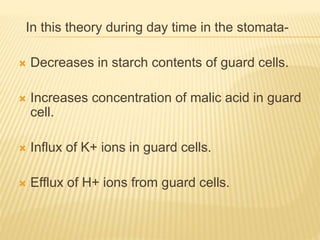 In this theory during day time in the stomata-
 Decreases in starch contents of guard cells.
 Increases concentration of malic acid in guard
cell.
 Influx of K+ ions in guard cells.
 Efflux of H+ ions from guard cells.
 