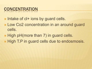 CONCENTRATION
 Intake of cl+ ions by guard cells.
 Low Co2 concentration in an around guard
cells.
 High pH(more than 7) in guard cells.
 High T.P in guard cells due to endosmosis.
 