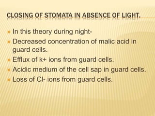 CLOSING OF STOMATA IN ABSENCE OF LIGHT.
 In this theory during night-
 Decreased concentration of malic acid in
guard cells.
 Efflux of k+ ions from guard cells.
 Acidic medium of the cell sap in guard cells.
 Loss of Cl- ions from guard cells.
 