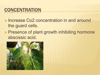 CONCENTRATION
 Increase Co2 concentration in and around
the guard cells.
 Presence of plant growth inhibiting hormone
abscissic acid.
 