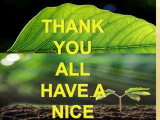 Morphological_identification_of_ stomata _ by subhashree.pptx