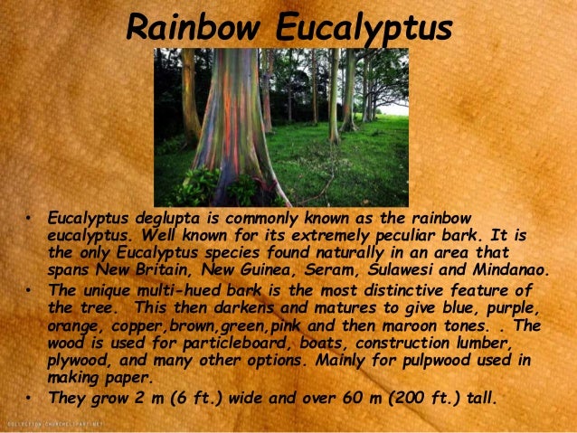 Copper green brown wood preservative Copper green brown wood preservative