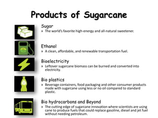 Products of Sugarcane
Sugar
» The world’s favorite high-energy and all-natural sweetener.
Ethanol
» A clean, affordable, and renewable transportation fuel.
Bioelectricity
» Leftover sugarcane biomass can be burned and converted into
electricity.
Bio plastics
» Beverage containers, food packaging and other consumer products
made with sugarcane using less or no oil compared to standard
plastic.
Bio hydrocarbons and Beyond
» The cutting edge of sugarcane innovation where scientists are using
cane to produce fuels that could replace gasoline, diesel and jet fuel
without needing petroleum.
 