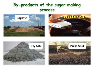 By-products of the sugar making
process
Bagasse
Fly Ash Press Mud
 