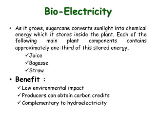 Bio-Electricity
• As it grows, sugarcane converts sunlight into chemical
energy which it stores inside the plant. Each of the
following main plant components contains
approximately one-third of this stored energy.
Juice
Bagasse
Straw
• Benefit :
 Low environmental impact
 Producers can obtain carbon credits
 Complementary to hydroelectricity
 