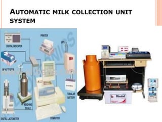 Presentation on Supply Chain Management of AMUL | PPTX