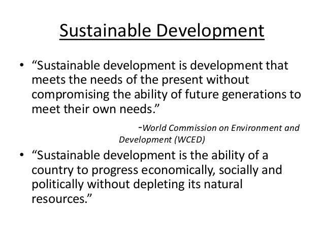 Essays on sustainable development
