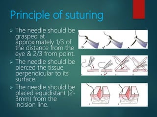 Principle of suturing
 The needle should be
grasped at
approximately 1/3 of
the distance from the
eye & 2/3 from point.
 The needle should be
pierced the tissue
perpendicular to its
surface.
 The needle should be
placed equidistant (2-
3mm) from the
incision line.
 