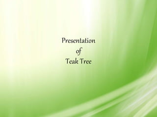 Presentation
of
Teak Tree
 