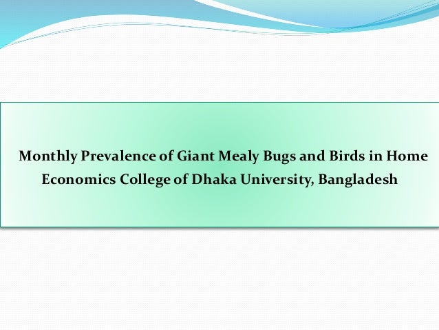 Monthly Prevalence Of Giant Mealy Bugs And Birds In Home Economics Co