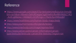 Reference
 https://www.google.com/search?q=testosterone&source=lnms&t
bm=isch&sa=X&ved=0ahUKEwjgqcSgjKHaAhUBs48KHXdUCT4Q
_AUICigB&biw=1366&bih=613#imgrc=7XwSL9yc0WbzqM:
 https://www.healthline.com/human-body-maps/testis
 http://www.yourhormones.info/glands/testes/
 http://www.innerbody.com/image/repmov.html
 http://www.cancer.ca/en/cancer-information/cancer-
type/testicular/testicular-cancer/the-testicles/?region=on
 