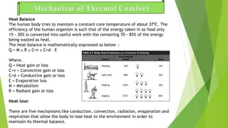 Thermal comfort in Clothing | PPTX