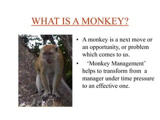 WHAT IS A MONKEY?
• A monkey is a next move or
an opportunity, or problem
which comes to us.
• ‘Monkey Management’
helps to transform from a
manager under time pressure
to an effective one.
 