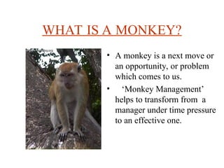 WHAT IS A MONKEY?
? A monkey is a next move or
an opportunity, or problem
which comes to us.
? Monkey Management
helps to transform from a
manager under time pressure
to an effective one.
 