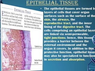 Presentation on tissues | PPSX