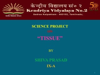 SCIENCE PROJECT
ON
“TISSUE”
BY
SHIVA PRASAD
IX-A
1
 