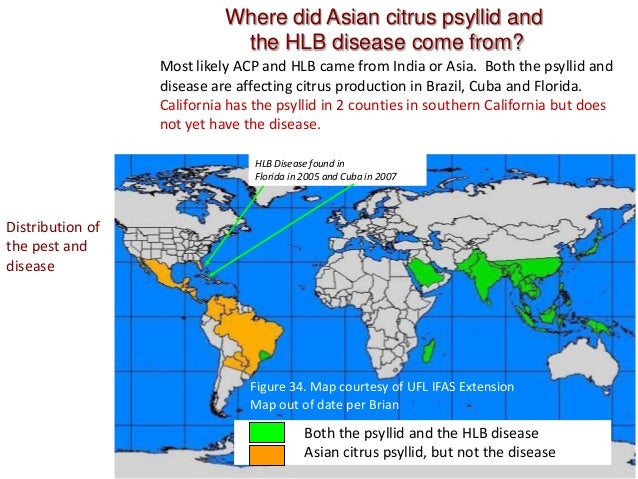 Citrus Greening
