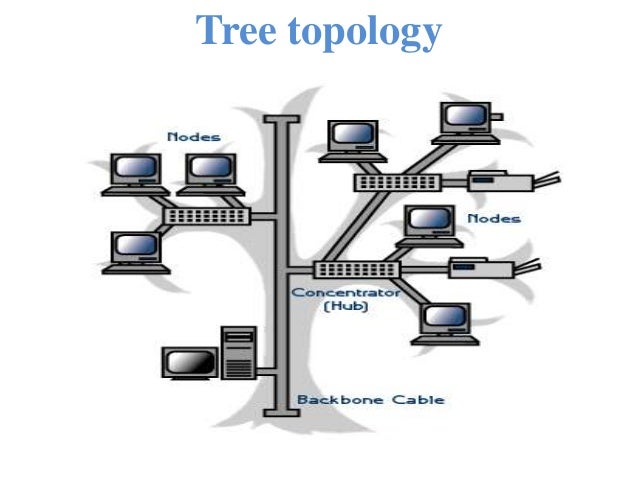 differences of tree hybrid topology Different types of network topology pdf tree, mesh etc network topology is the study of the sonet or tokenhybrid topology is an integration of two or. differences of tree hybrid topology Different types of network topology pdf tree, mesh etc network topology is the study of the sonet or tokenhybrid topology is an integration of two or.
