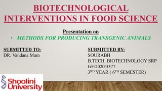 BIOTECHNOLOGICAL
INTERVENTIONS IN FOOD SCIENCE
Presentation on
• METHODS FOR PRODUCING TRANSGENIC ANIMALS
SUBMITTED TO-
DR. Vandana Mam
SUBMITTED BY-
SOURABH
B.TECH. BIOTECHNOLOGY SRP
GF/2020/3377
3RD YEAR ( 6TH SEMESTER)
 
