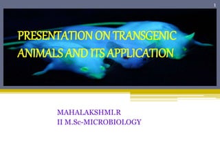 MAHALAKSHMI.R
II M.Sc-MICROBIOLOGY
1
PRESENTATION ON TRANSGENIC
ANIMALS AND ITS APPLICATION
 