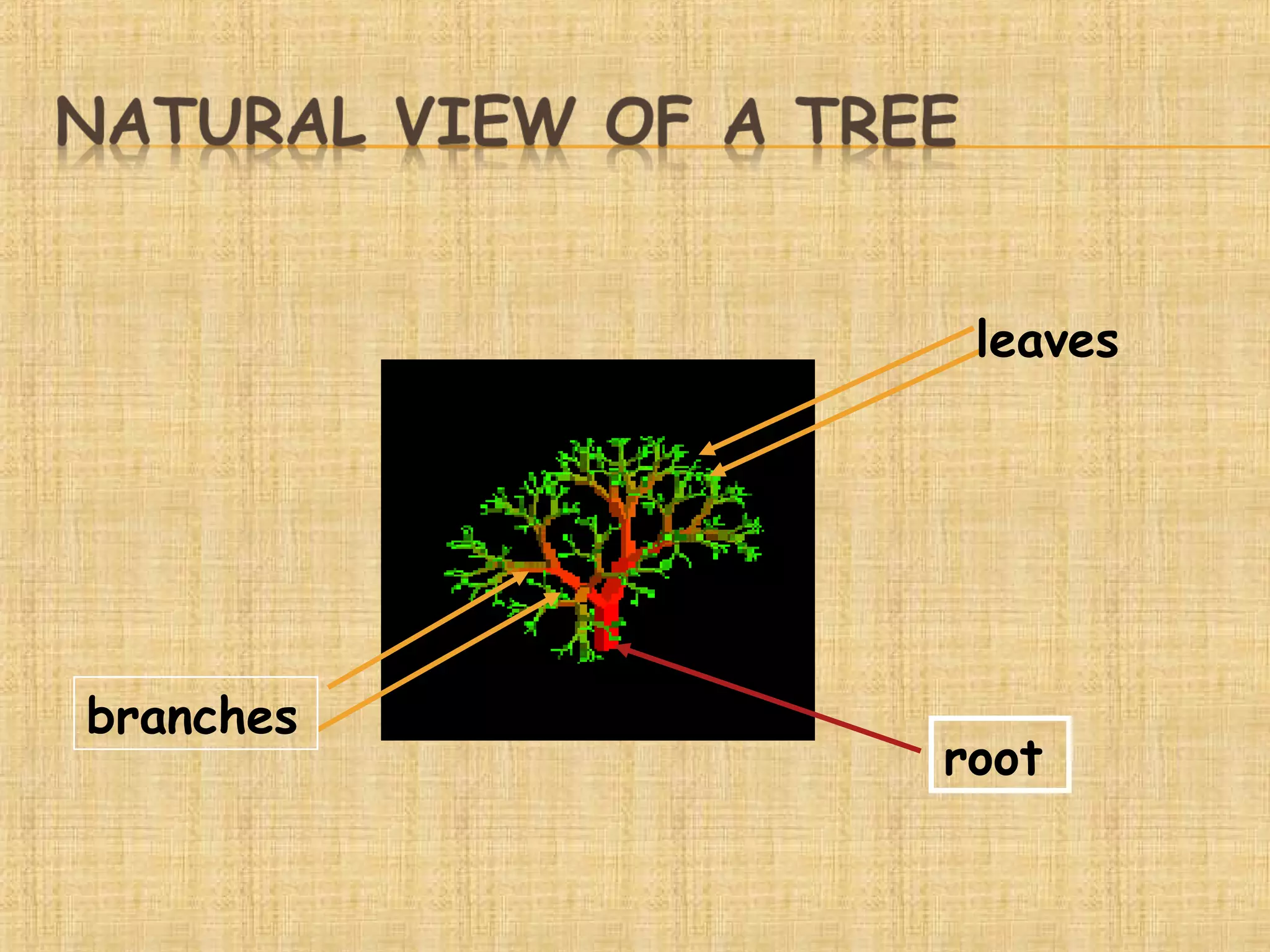 Tree of Data Structure | PPT