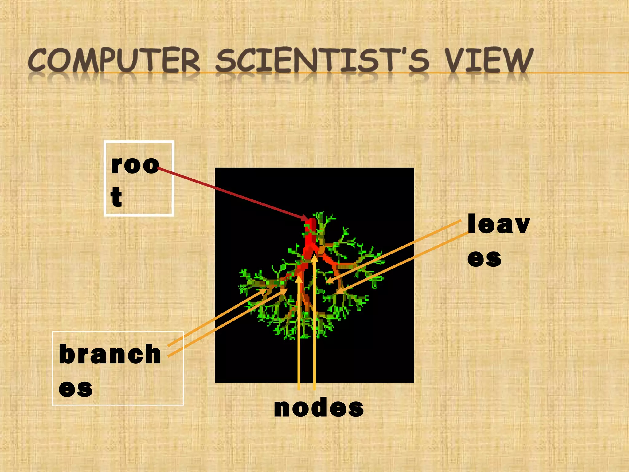 Tree of Data Structure | PPT