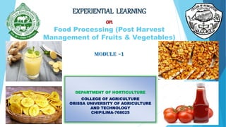 EXPERIENTIAL LEARNING
on
Food Processing (Post Harvest
Management of Fruits & Vegetables)
MODULE -1
DEPARTMENT OF HORTICULTURE
COLLEGE OF AGRICULTURE
ORISSA UNIVERSITY OF AGRICULTURE
AND TECHNOLOGY
CHIPILIMA-768025
 