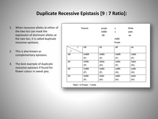 recessive epistasis ratio