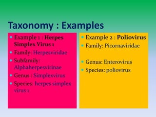 PRESENTATION ON VIRUS.pptx