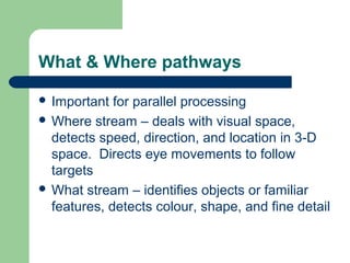 Presentation on vision | PPT