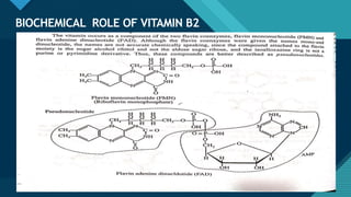 Click to edit Master title style
35
BIOCHEMICAL ROLE OF VITAMIN B2
35
 