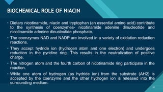 Click to edit Master title style
68
BIOCHEMICAL ROLE OF NIACIN
68
• Dietary nicotinamide, niacin and tryptophan (an essential amino acid) contribute
to the synthesis of coenzymes- nicotinamide adenine dinucleotide and
nicotinamide adenine dinucleotide phosphate.
• The coenzymes NAD and NADP are involved in a variety of oxidation reduction
reactions.
• They accept hydride ion (hydrogen atom and one electron) and undergoes
reduction in the pyridine ring. This results in the neutralization of positive
charge.
• The nitrogen atom and the fourth carbon of nicotinamide ring participate in the
reaction.
• While one atom of hydrogen (as hydride ion) from the substrate (AH2) is
accepted by the coenzyme and the other hydrogen ion is released into the
surrounding medium.
 