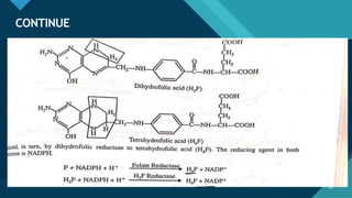 Click to edit Master title style
81
CONTINUE
81
 