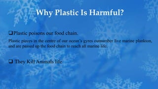 Plastic poisons our food chain.
Plastic pieces in the centre of our ocean’s gyres outnumber live marine plankton,
and are passed up the food chain to reach all marine life.
 They Kill Animals life
Why Plastic Is Harmful?
 
