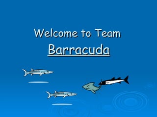 Welcome to Team  Barracuda 