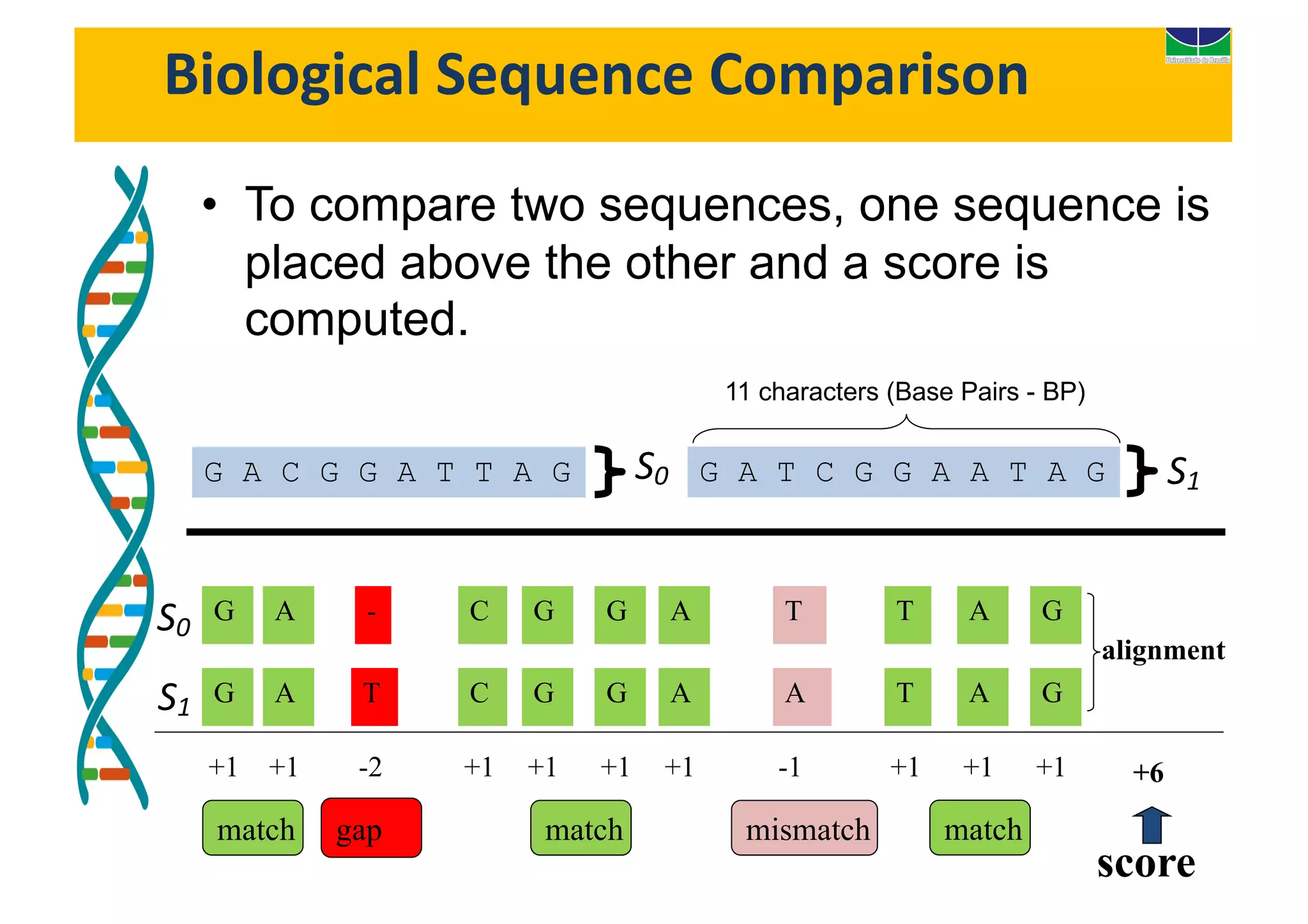 Parallel Biological Sequence Comparison in GPU Platforms | PPT