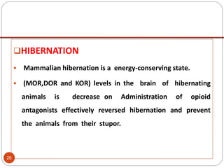 HIBERNATION
 Mammalian hibernation is a energy-conserving state.
 (MOR,DOR and KOR) levels in the brain of hibernating
animals is decrease on Administration of opioid
antagonists effectively reversed hibernation and prevent
the animals from their stupor.
26
 