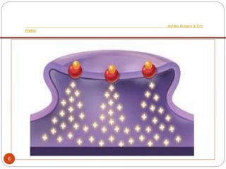 Ashley Rogers & Eric
Walker
6
 