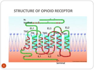 STRUCTURE OF OPIOID RECEPTOR
N-
terminal
C-
terminal
TM7
TM
1
TM2 TM3 TM4
TM5TM6
EL1 EL2EL3
IL1 IL2 IL3
8
 