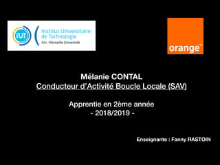 Mélanie CONTAL
Conducteur d’Activité Boucle Locale (SAV)
Apprentie en 2ème année
- 2018/2019 -
Enseignante : Fanny RASTOIN
 